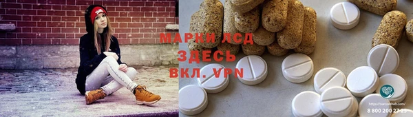 сатива Алзамай