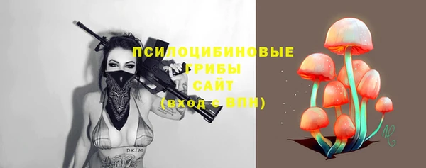 сатива Алзамай